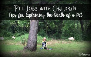 Pet loss is hard and worse with children. Here's helpful tips for supporting and explaining your children with the death of a pet. A must read for parents.